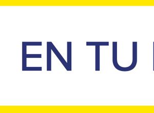 (fauna Argentina Centro Editor) Las  Golondrinas (art 8882