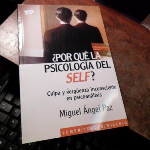 Por Que La Psicologia Del Self ? Por Paz Miguel Angel (k1812