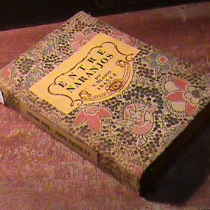 Vicente Blasco Ibañez / Entre Naranjos (art 11251