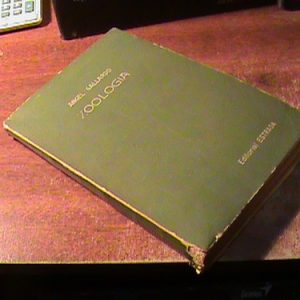 Angel Gallardo Zoologia (art 10049