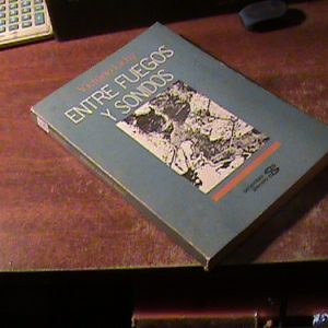 Entre Fuegos Y Sonidos / Victorio Lichy (art 9874
