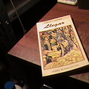 Perla Castro Llegar (k1271