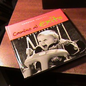 Camino Al Exito - Gonzalo Arzuaga(art 10320