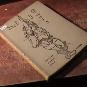 Sol Y Lluvia  Haydée María Ghio (art 11287