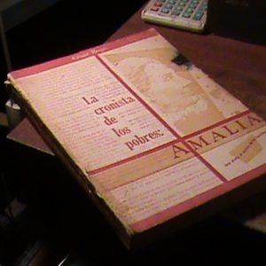 Amalia La Cronista De Los Pobres Por Cesar Bogo (t553