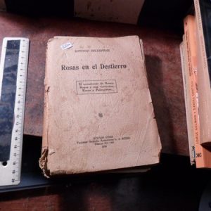 Rosas En El Desierto Dellepiane Firmado (r1200