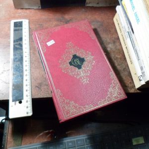 El Cinturón De Castidad Pigrillii (k3451