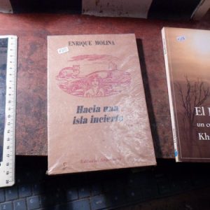 Hacia Una Isla Incierta Enrique Molina (3235