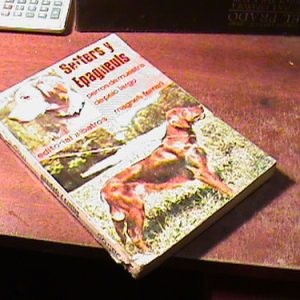 Setters Y Espagneuls Magnelli Ferrari (art 7855