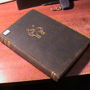 Lutz Manos De Oro (art 8982