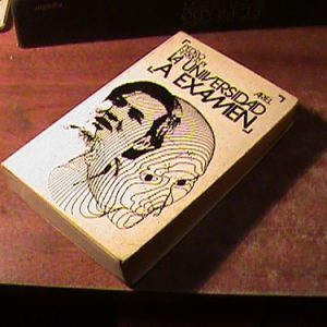 Pedro Ferrer La Inversidad A Examen (art 7214