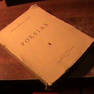 Rodrigo Fernandez Alonso Poesias (art 9407