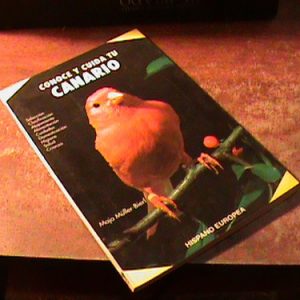 Conoce Tu Canario Muller Bierl (art 12485