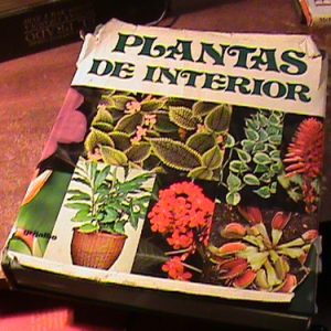 Plantas De Interior * Mariella Pizetti * Grijalbo (art 7126
