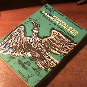 Fortaleza Sanmartiniana Santiago Wienhauser (art 5770