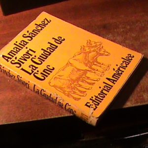 Amalia Sanchez Sívori. La Ciudad De Cinc (art 9094