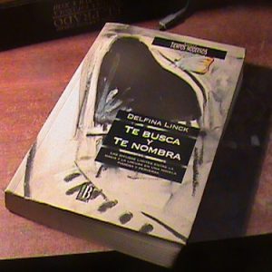 Delfina Link Te Busca Y Te Nombra (art 5690