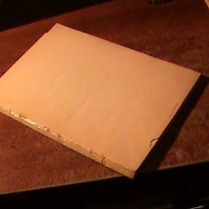 Marsigno Las Enfermedades De Los Gatos.(art 9078