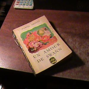 Un Amour De Swann Proust (k19