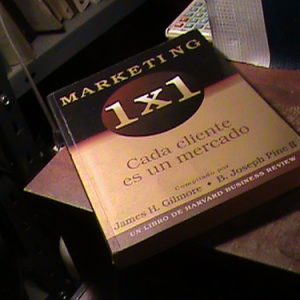 Marketing 1 X 1 Cada Cliente Es Un Mercado- Gilmore/ Pine