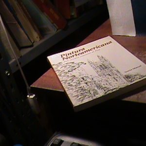 Pintura Norteamericana Sonia Marsal (h1272