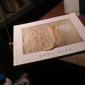 Raul Diaz Catalogo (h1318