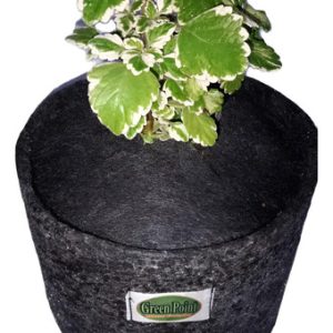 Hierbas Medicinales En Maceta