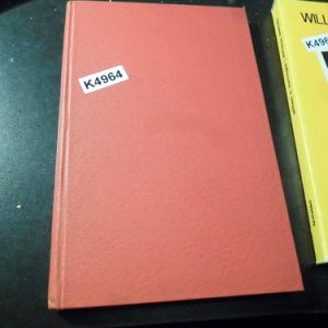 El Niño Perverso - Michaux K4964