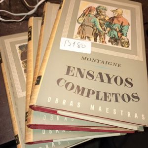 Igne  Ensayos Completos 4ts