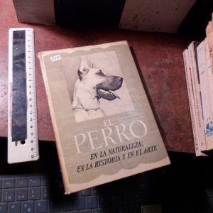 El Perro En La Naturaleza, En La Historia Y En El Arte - Uzé