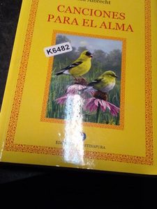 Ada Albrecht Canciones