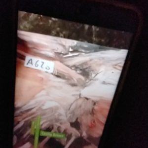 Uno  Mane Nacional  Cecily Brown