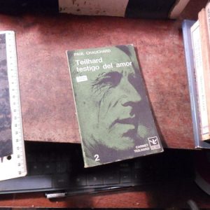 Teilhard Testigo Del Amor. Paul Chauchard (r1731