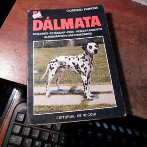Dalmata Fiorone (q60