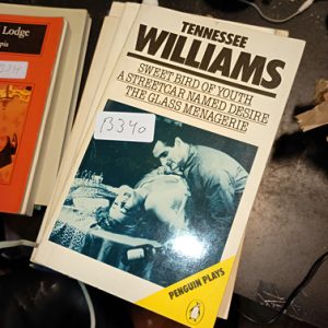 Tennessee  Williams  Sweet Bird Of Youth A Streetcar Named D
