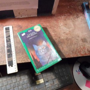 La Gata Del Piloto Robert Westall T3320