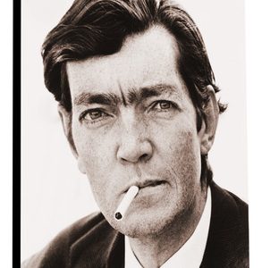 El Martín Fierro - Borges Guerrero -