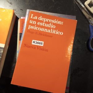 La Depresión: Un Estudio Psicoanalítico Bleichmar