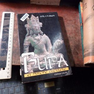 Buda, El Principe Guerrero | Kyra Pohlen (t4306