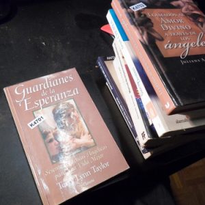 Guardianes De La Esperanza - Terry Lynn Taylorvc K4701