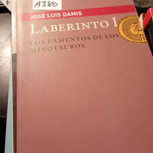 José Luis Damis  Laberinto I