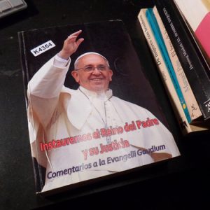 Instauremos El Reino Del Padre Y Su Justicia: Gaudium K4354