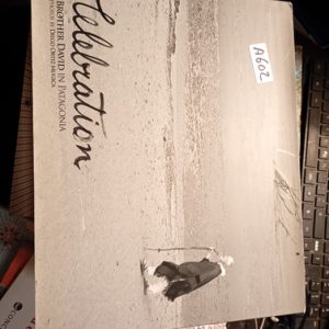 Celebration  Brother David In Patagonia