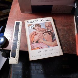 Miguel Ángel, Román Rolland (t4281