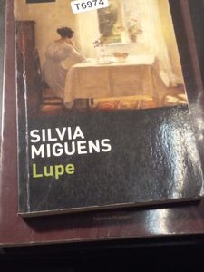 Silvia Miguens Lupe