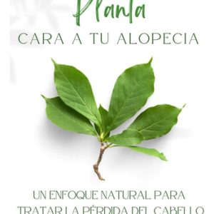 Plantas De La Patagonia Para La Salud Sara Itk