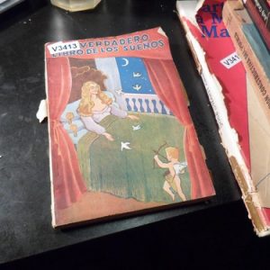 El Verdadero Libro De Los Sueños V3413