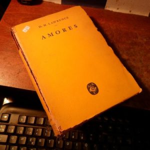 Lawrence D. H.: Amores (q669