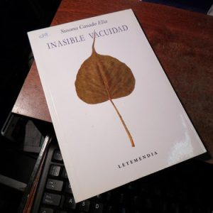 Inasible Vacuidad Casado Elia Susana (q854