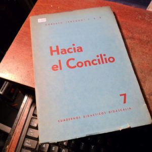 Hacia El Concilio Terzaghi (q869